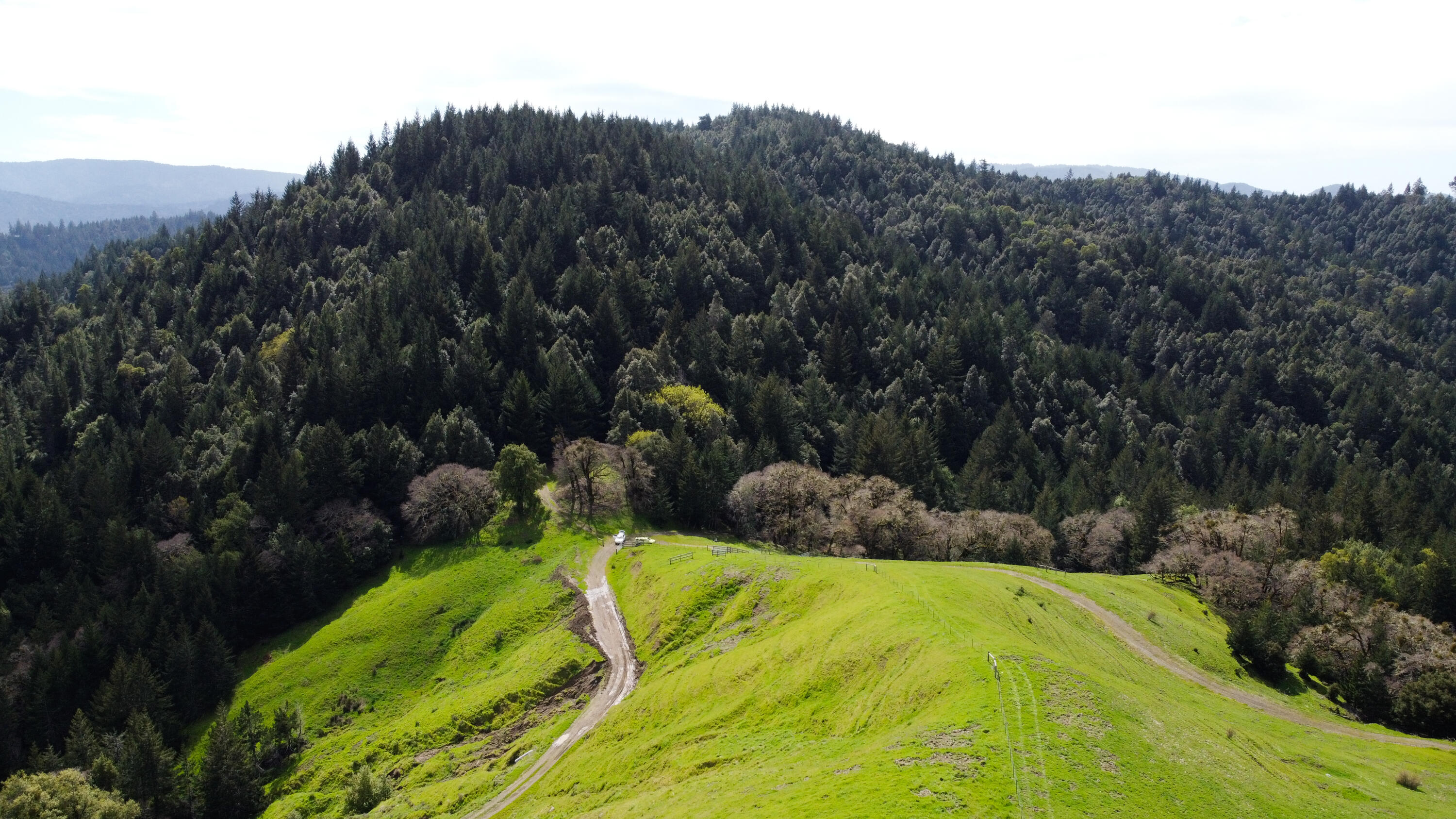 4001 Conklin Creek Road Ferndale, CA 95536 - Photo 112 of 125