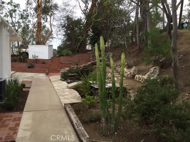 a view of a yard with plants
