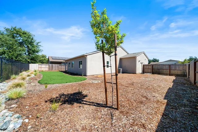 a street view with a garden