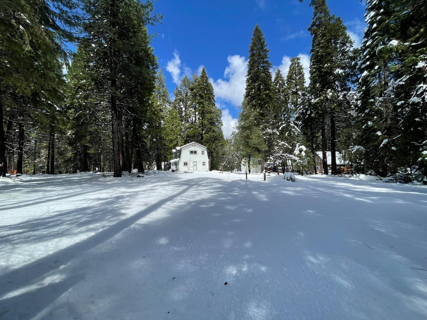 a view of road with trees