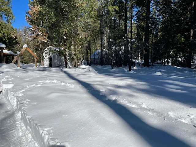 a view of city street with trees