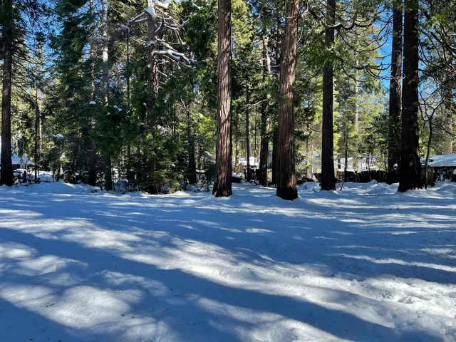 a view of road with trees