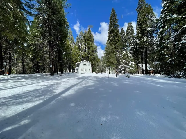 a view of road with trees