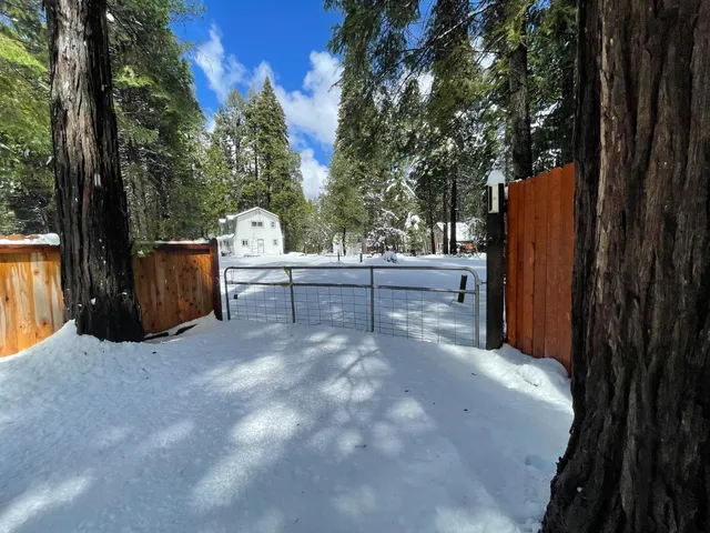 a backyard of a house with oven and tree