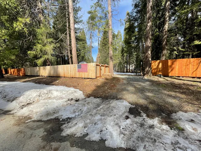 a view of a yard with large trees