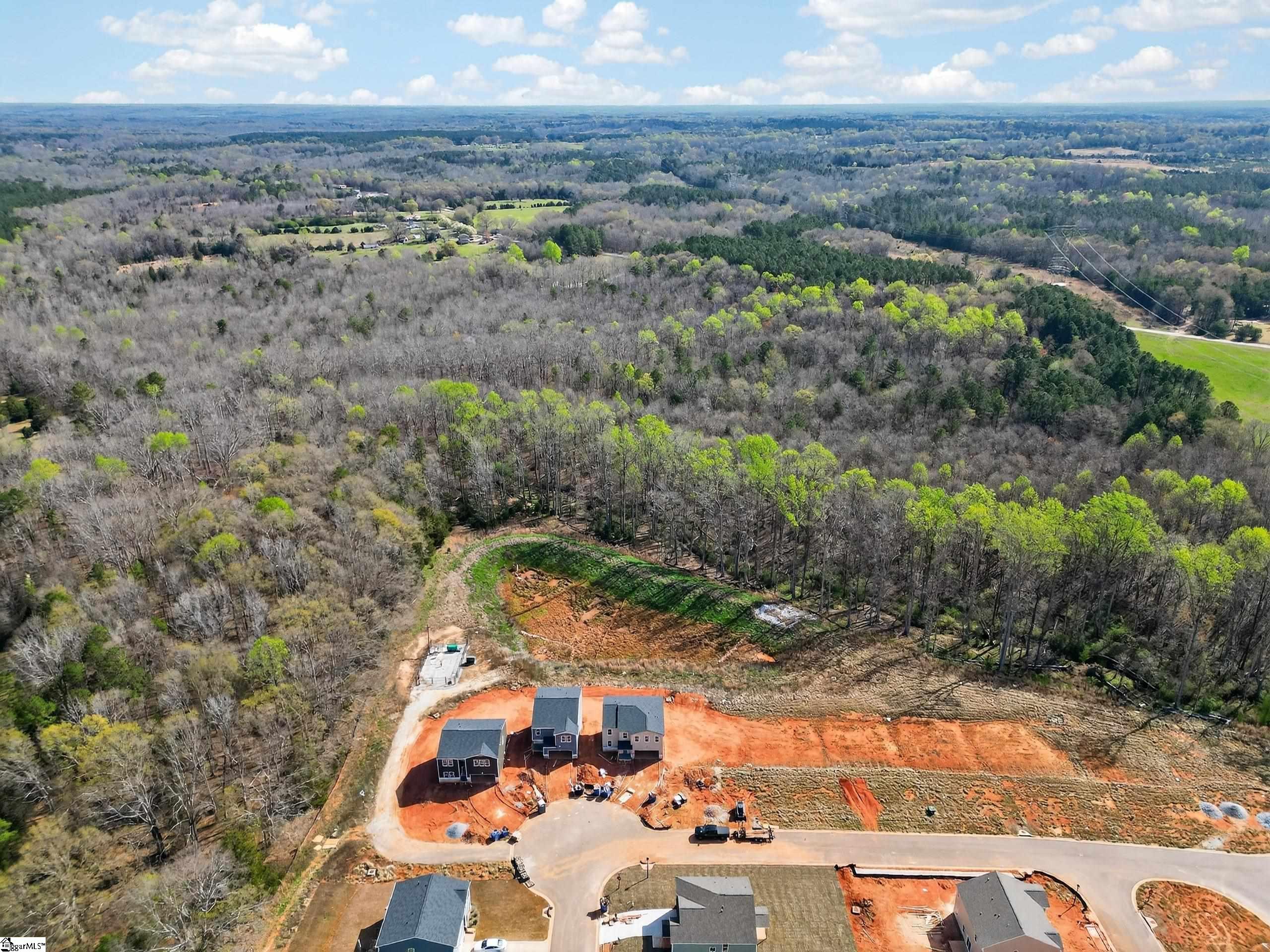 105 Spg Knl Way Fountain Inn, SC 29644 - Photo 8 of 22