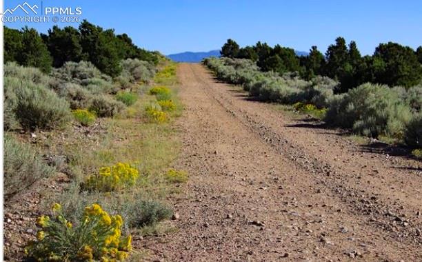 Lot 8 Melby Ranch Road San Luis, CO 81152 - Photo 5 of 20