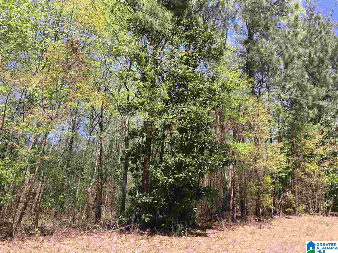 0 Coleman Street, Unit 1 Heflin, AL 36264 - Photo 1 of 1