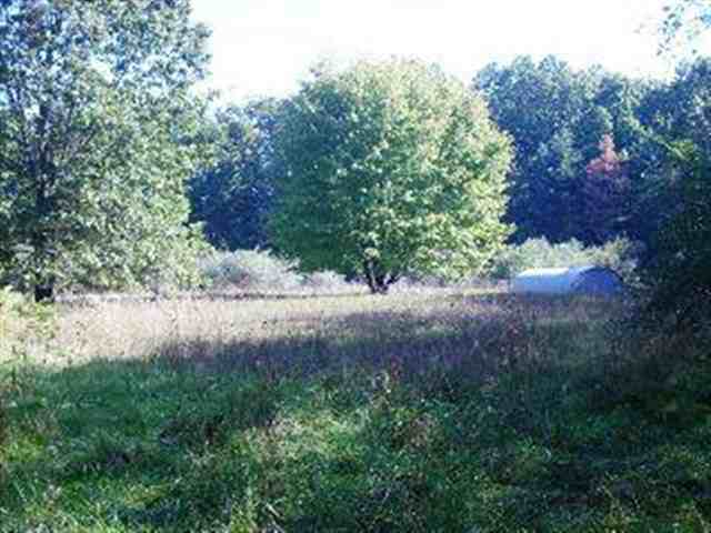 11554 Kruse Road Petersburg, MI 49270 - Photo 12 of 13 Pasture