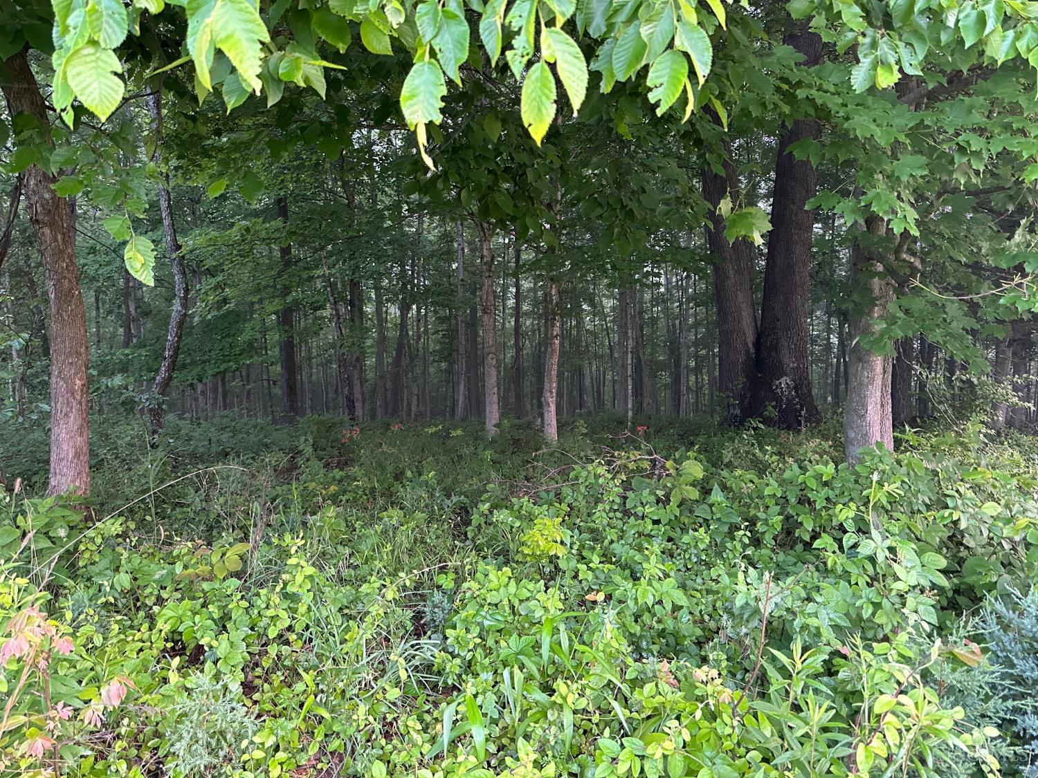 11583 Sinking Spring Road Hillsboro, OH 45133 - Photo 15 of 25