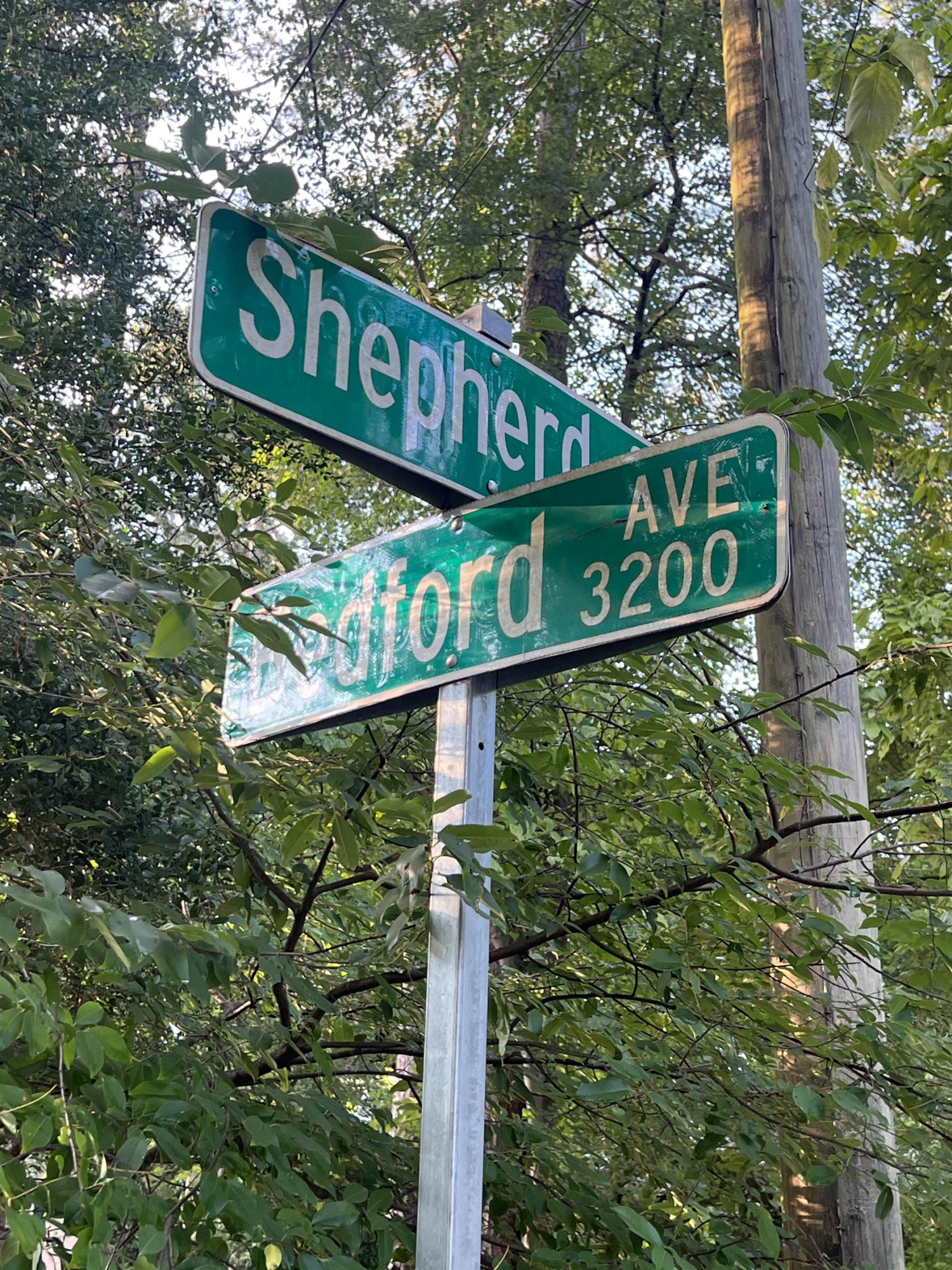305 Shepherd Street Raleigh, NC 27607 - Photo 3 of 16 Photo 3