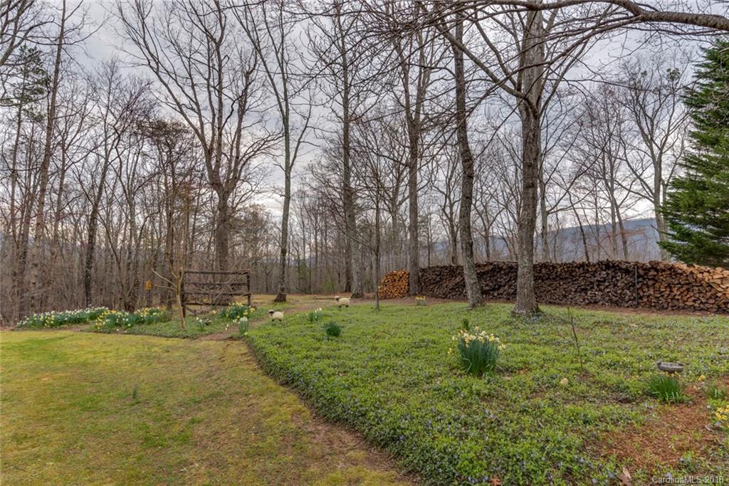 635 Wildcat View Ln Mill Spring Mill Spring, NC 28756 - Photo 16 of 26