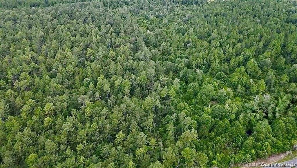 Lot 2 Sandy Lane Dequincy, LA 70633 - Photo 9 of 10