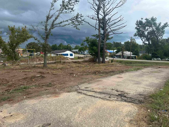 a view of dirt yard with a large tree