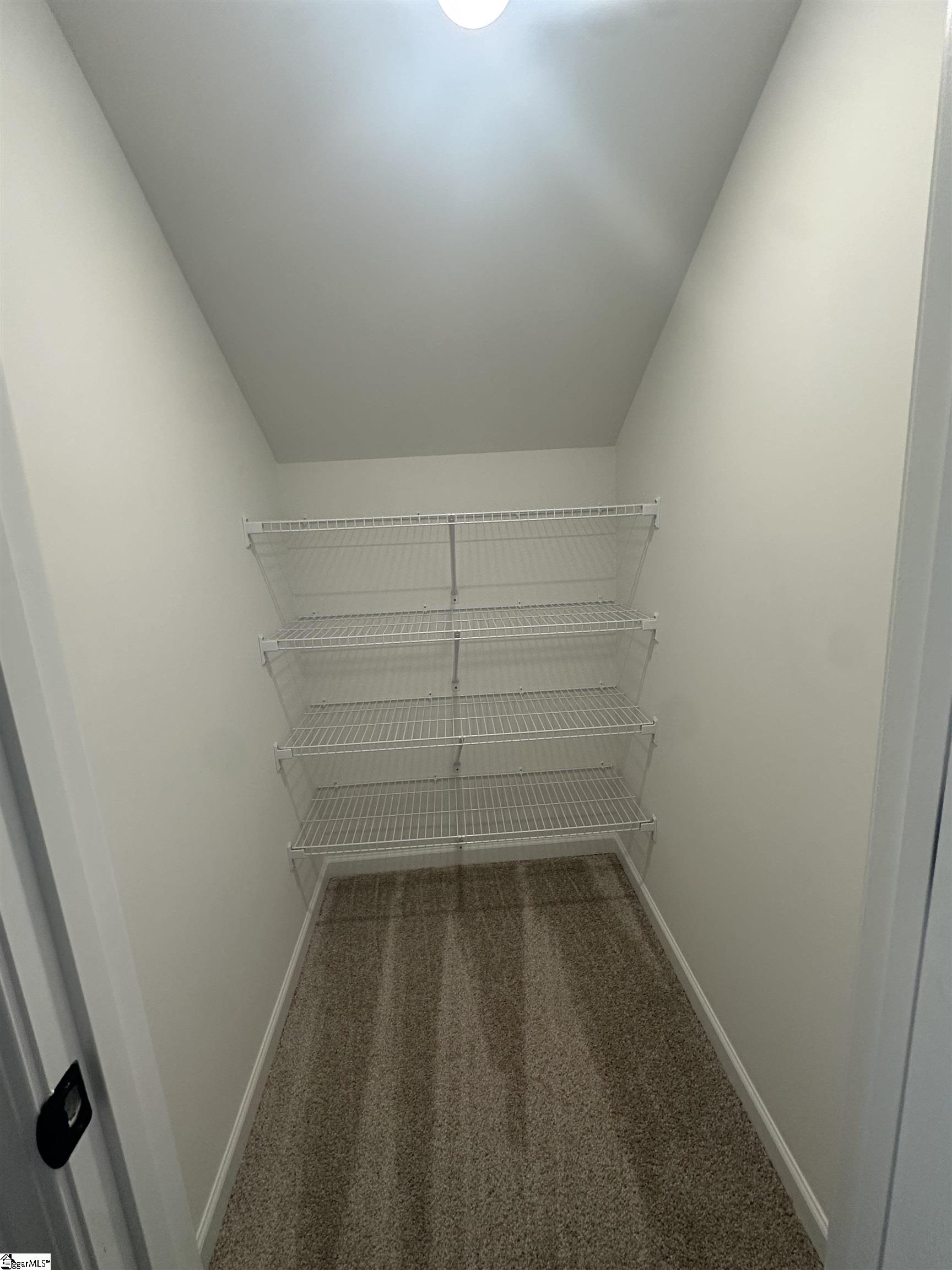 347 East Pyrenees Drive Lyman, SC 29365 - Photo 47 of 48