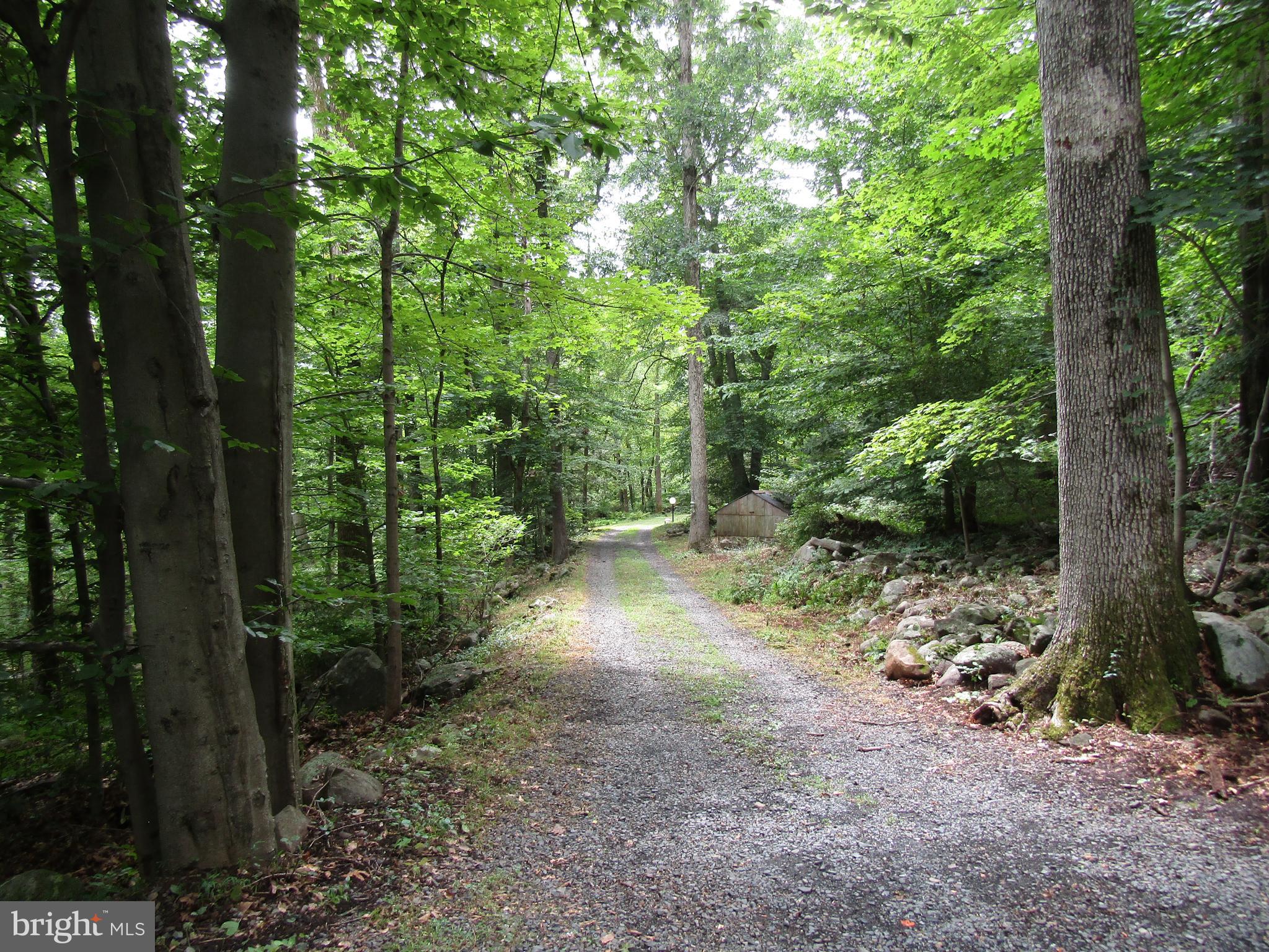 1236 Eagle Road New Hope, PA 18938 - Photo 1 of 40