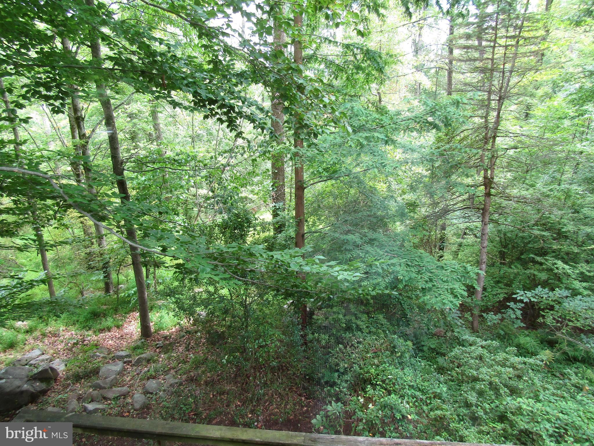1236 Eagle Road New Hope, PA 18938 - Photo 2 of 40