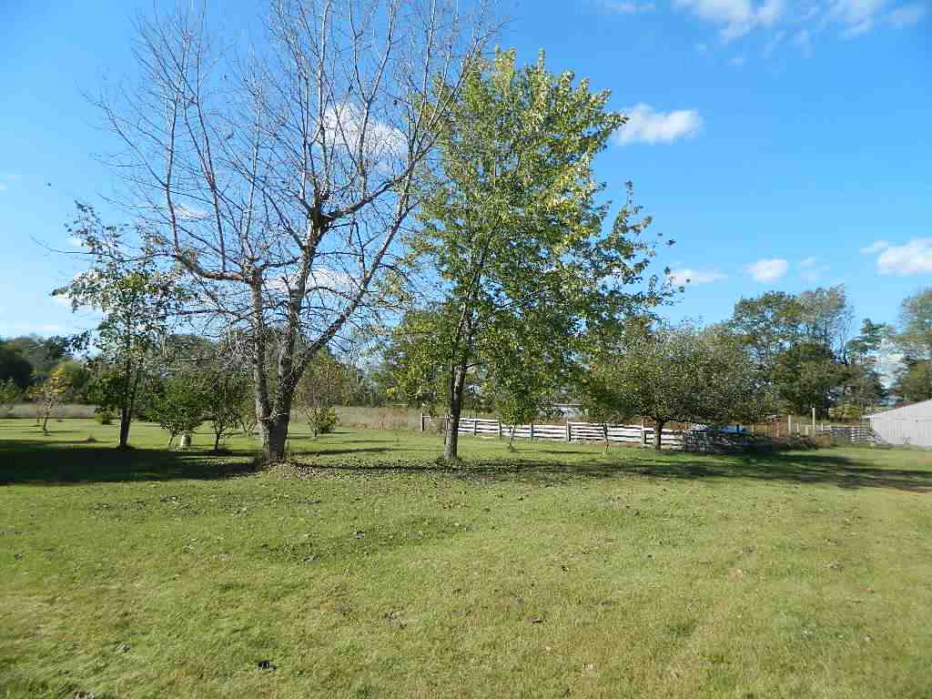11650 West Remick Road Blanchard, MI 49310 - Photo 3 of 39 1839299-2.JPG