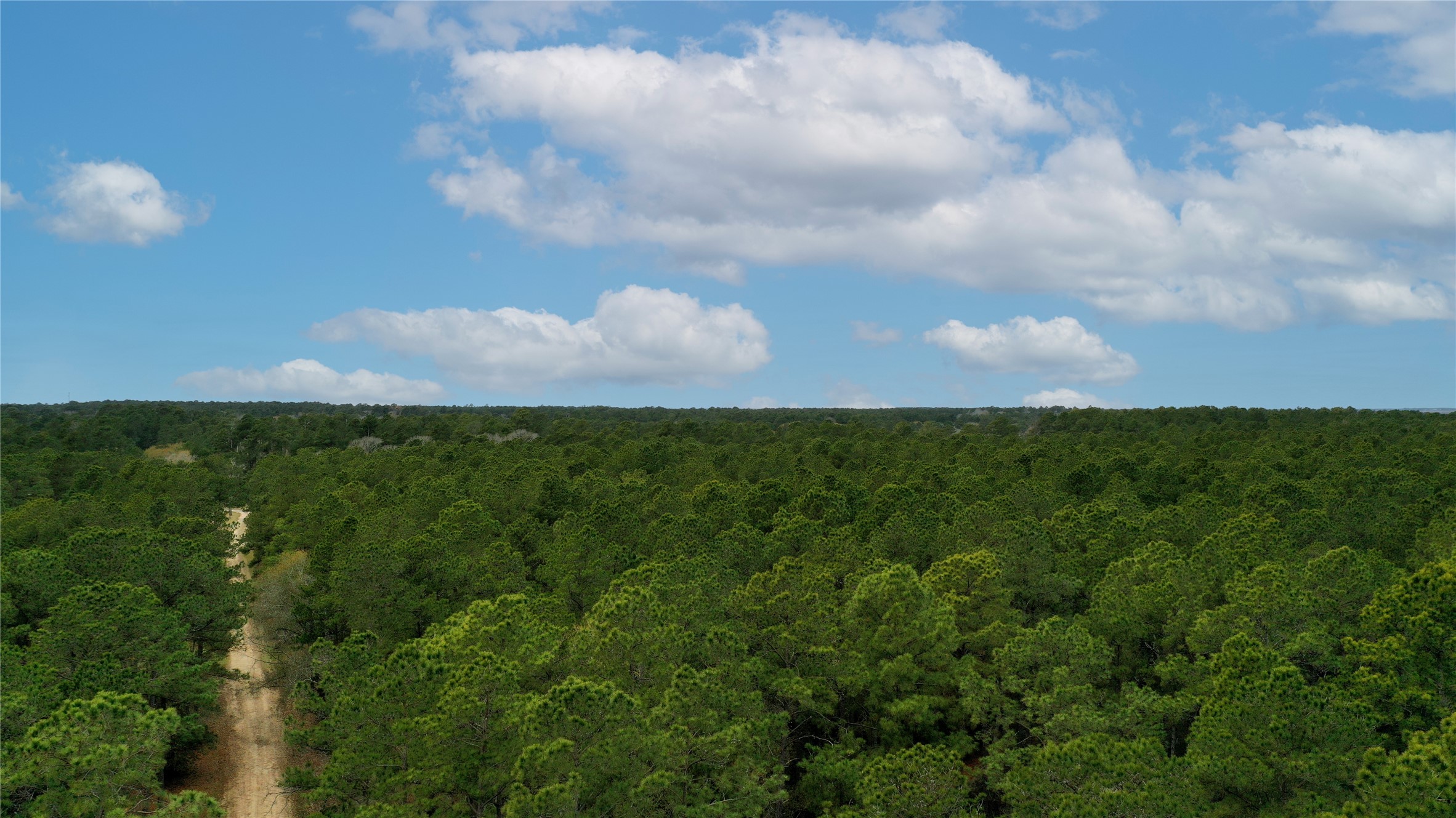 Tbd Lone Star Road Navasota, TX 77868 - Photo 16 of 22 a view of a city