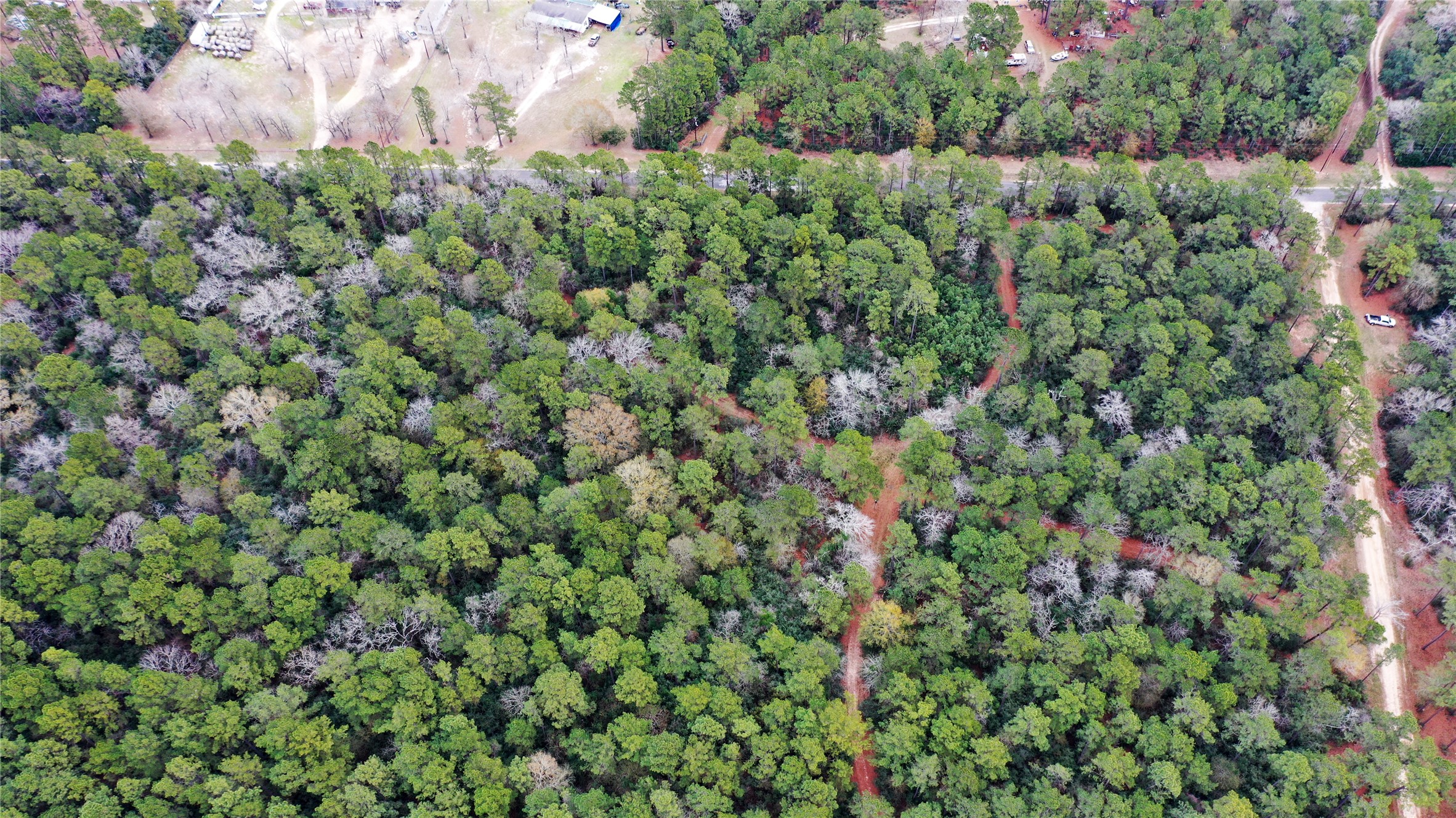 Tbd Lone Star Road Navasota, TX 77868 - Photo 17 of 22 a view of a and covered with lush green forest