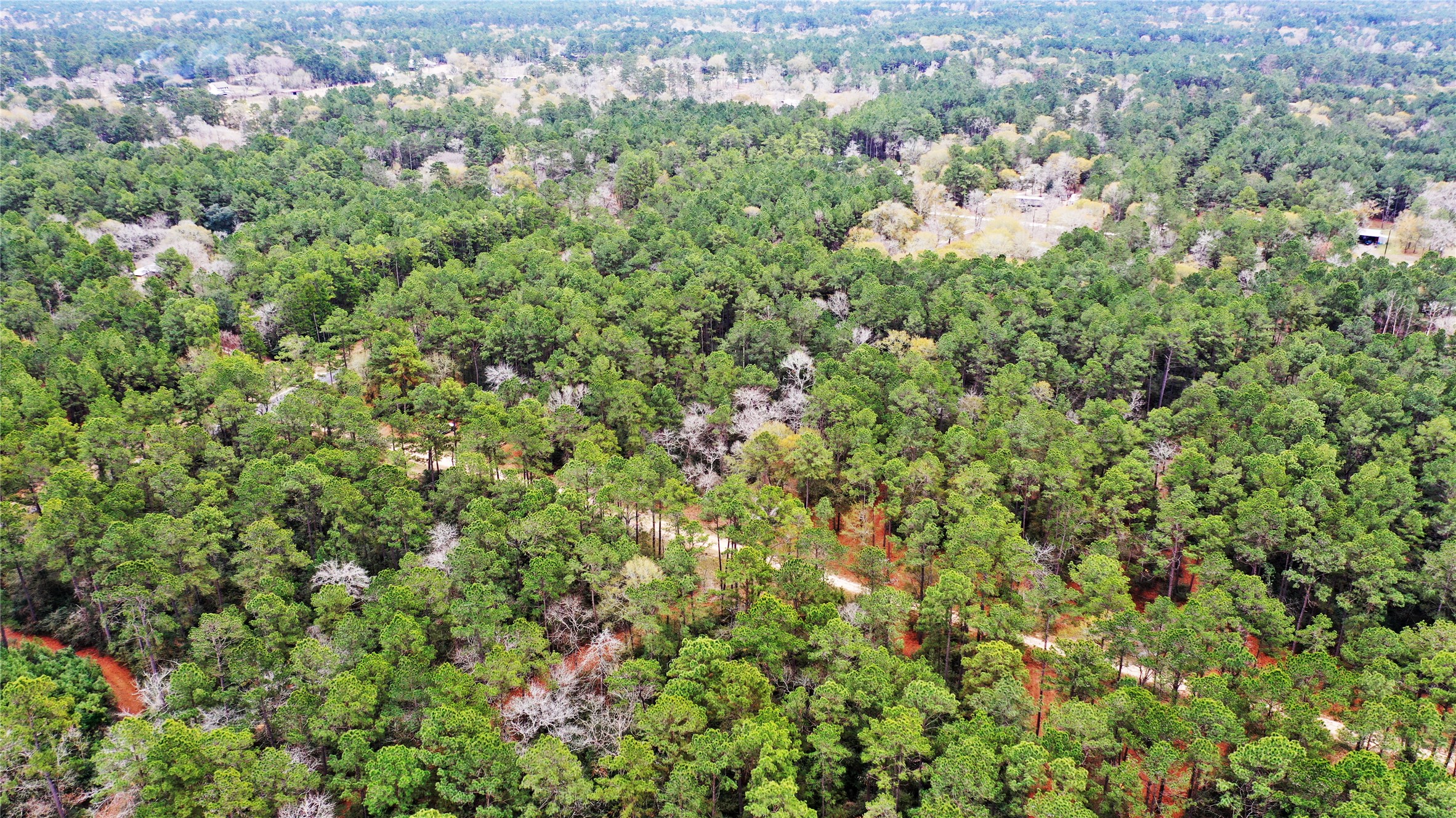 Tbd Lone Star Road Navasota, TX 77868 - Photo 18 of 22