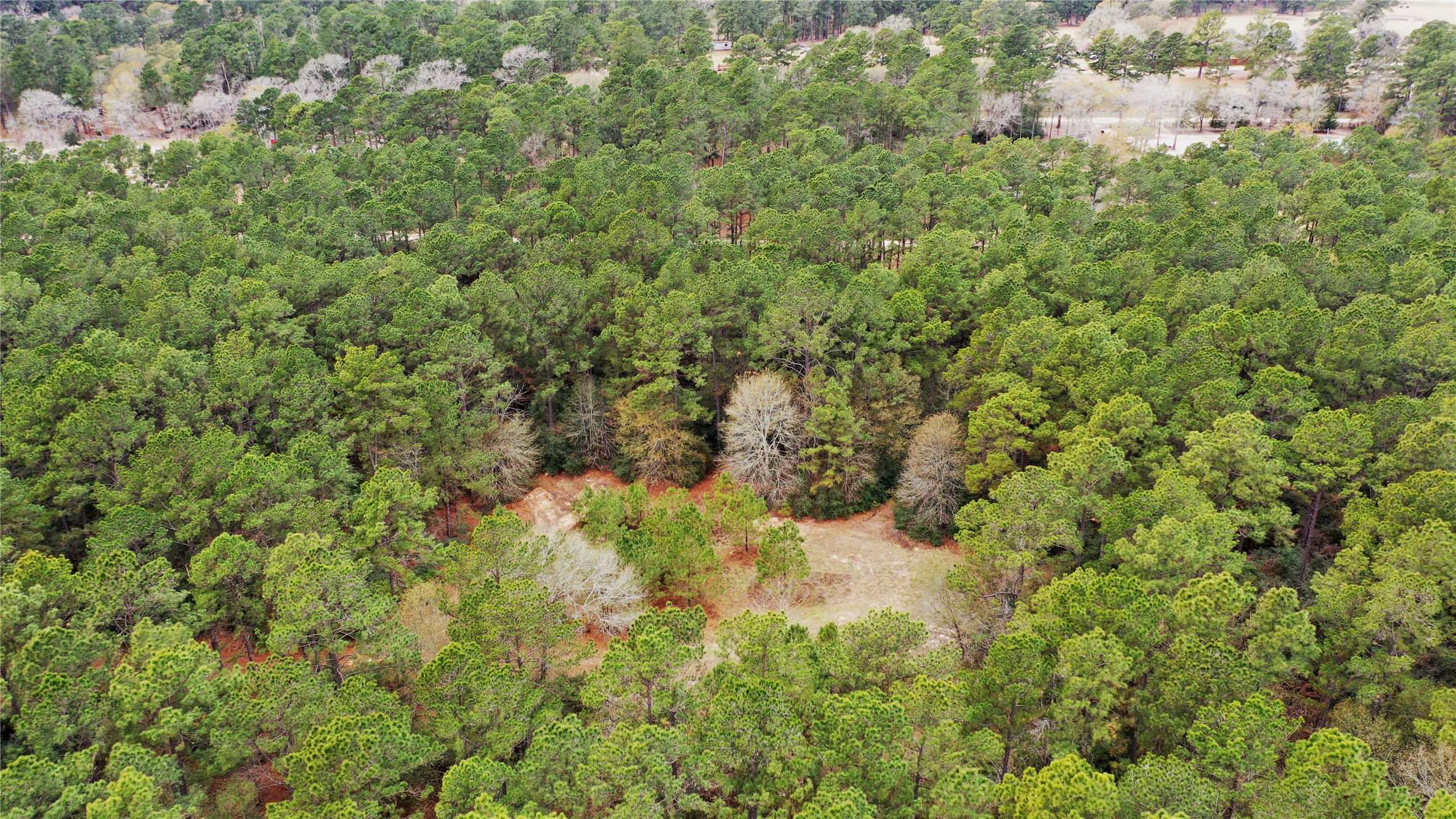 Tbd Lone Star Road Navasota, TX 77868 - Photo 21 of 22 a view of a big yard with lots of bushes