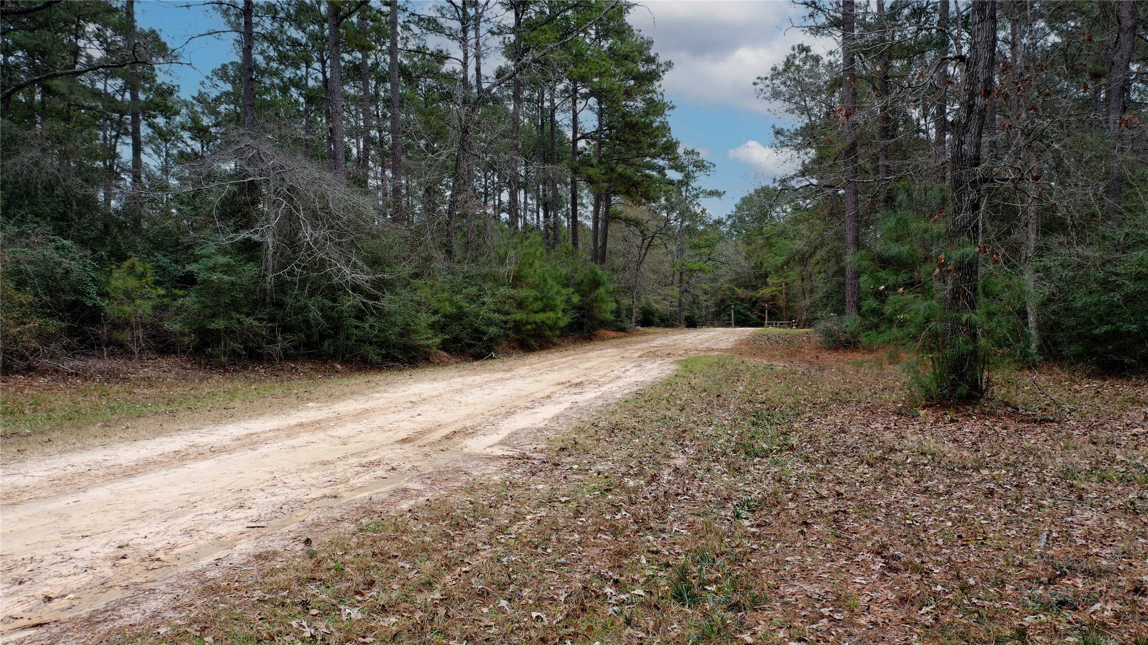 Tbd Lone Star Road Navasota, TX 77868 - Photo 3 of 22 a view of outdoor space and yard