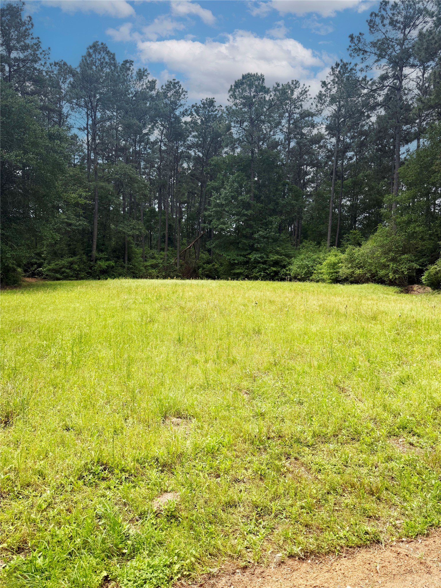 Tbd Lone Star Road Navasota, TX 77868 - Photo 4 of 22 a view of an outdoor space and a yard