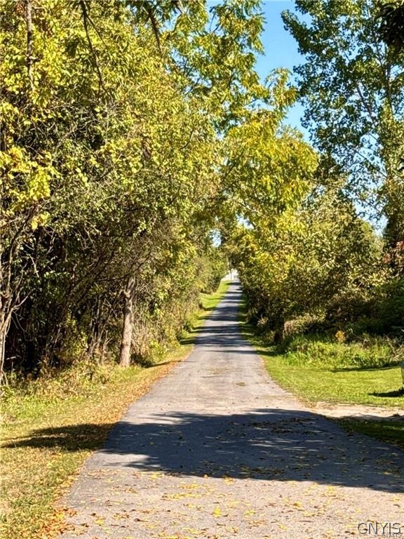 5535 Silver Street Road Fleming, NY 13021 - Photo 14 of 47