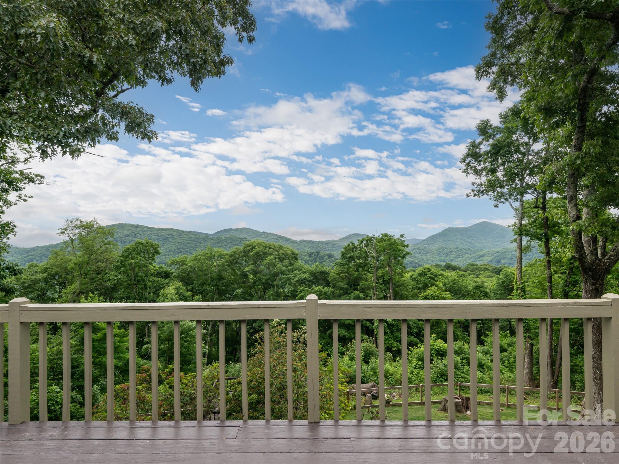 243 Pioneer Ridge Road Canton, NC 28716 - Photo 2 of 47