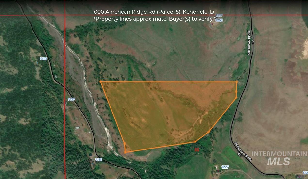 0 American Ridge Road Kendrick, ID 83537 - Photo 3 of 25