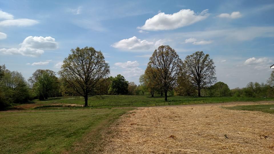 320 Shotwell Road Lawrenceburg, TN 38464 - Photo 20 of 22 Gallery Image 20