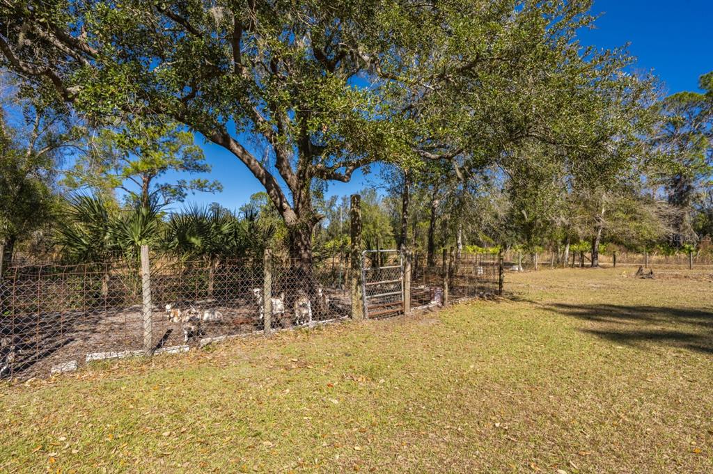 2207 Southwest Blossom Road Arcadia, FL 34266 - Photo 28 of 43