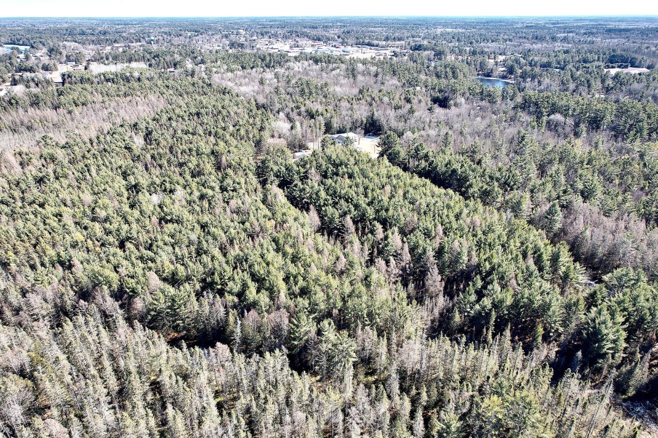 78-acres Illinois Road Eagle River, WI 54521 - Photo 5 of 13 Gallery Image 5