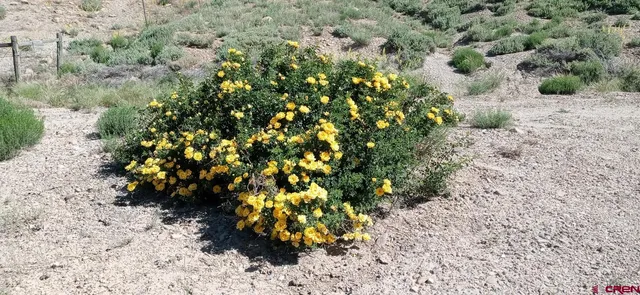 $217,000 | 22088 Rd C.1, Cortez, CO 81321