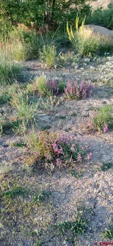 $217,000 | 22088 Rd C.1, Cortez, CO 81321