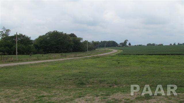 4904 North Wiley Road Elmwood, IL 61529 - Photo 3 of 15 Gallery Image 3