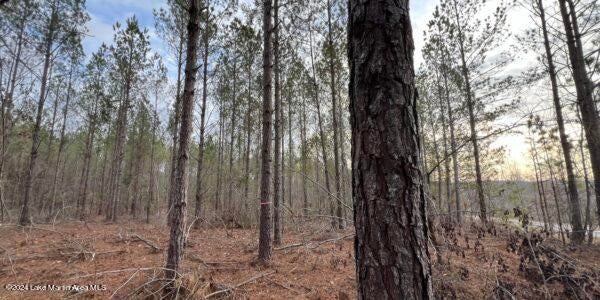 24 Pleasant Road Camp Hill, AL 36850 - Photo 3 of 21 Gallery Image 3