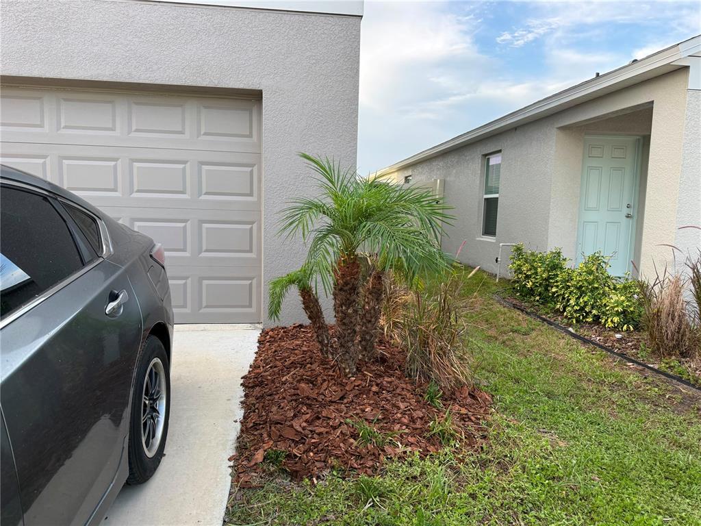1771 Lanier Road Zephyrhills, FL 33541 - Photo 7 of 7