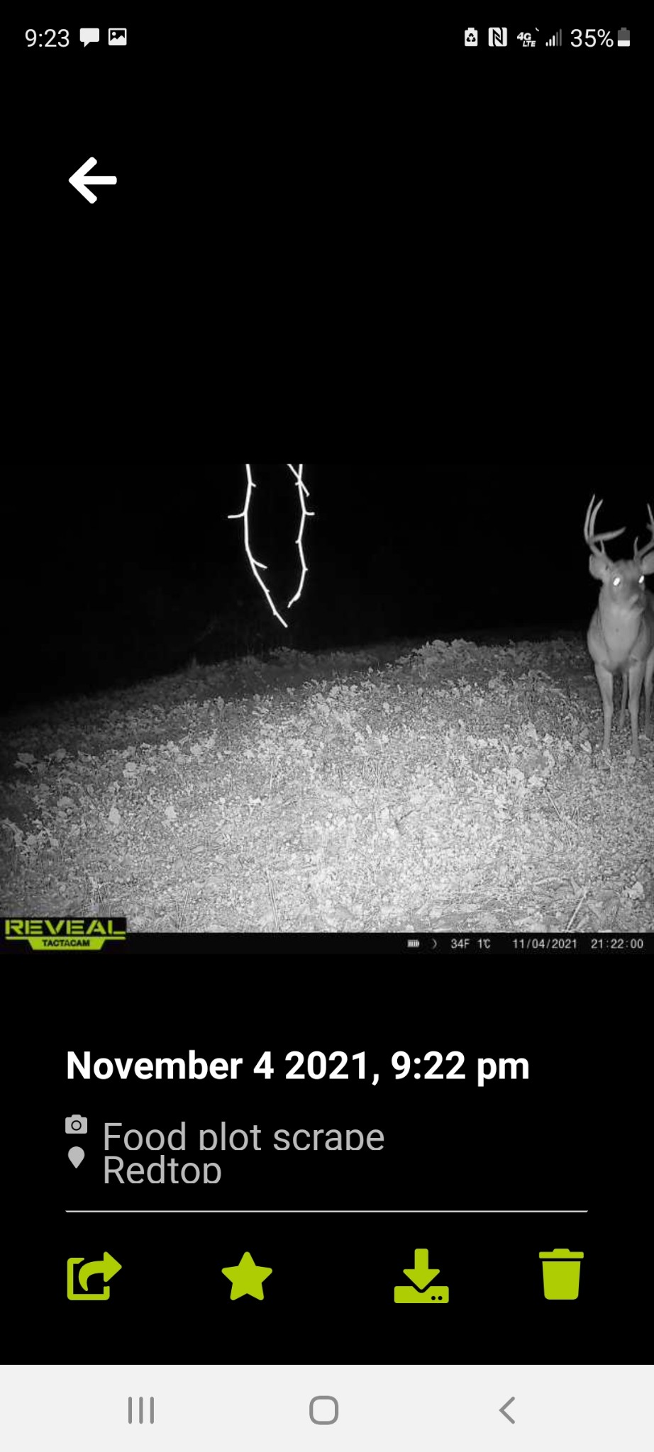 1111 Red Top Road Indian Mound, TN 37079 - Photo 29 of 33 Gallery Image 29