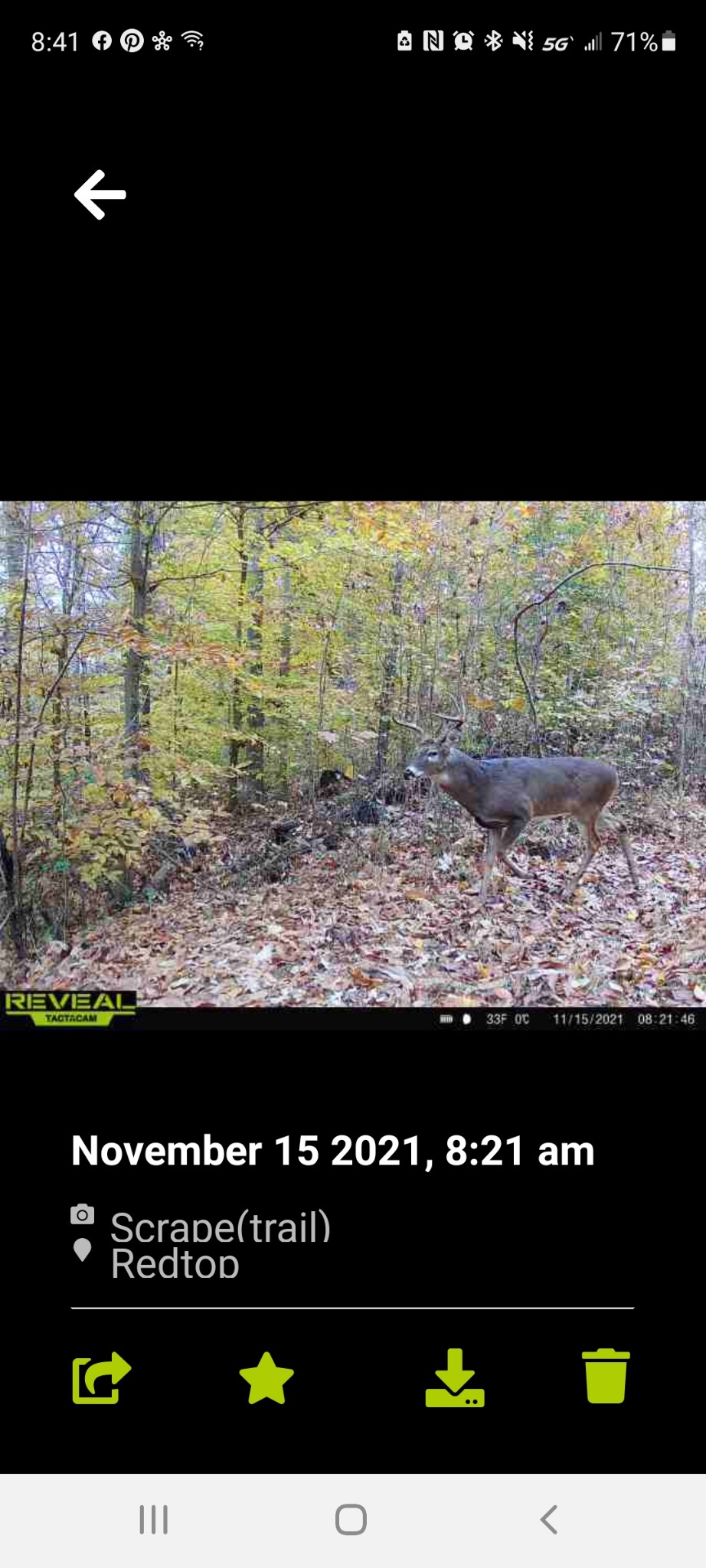 1111 Red Top Road Indian Mound, TN 37079 - Photo 30 of 33 Gallery Image 30