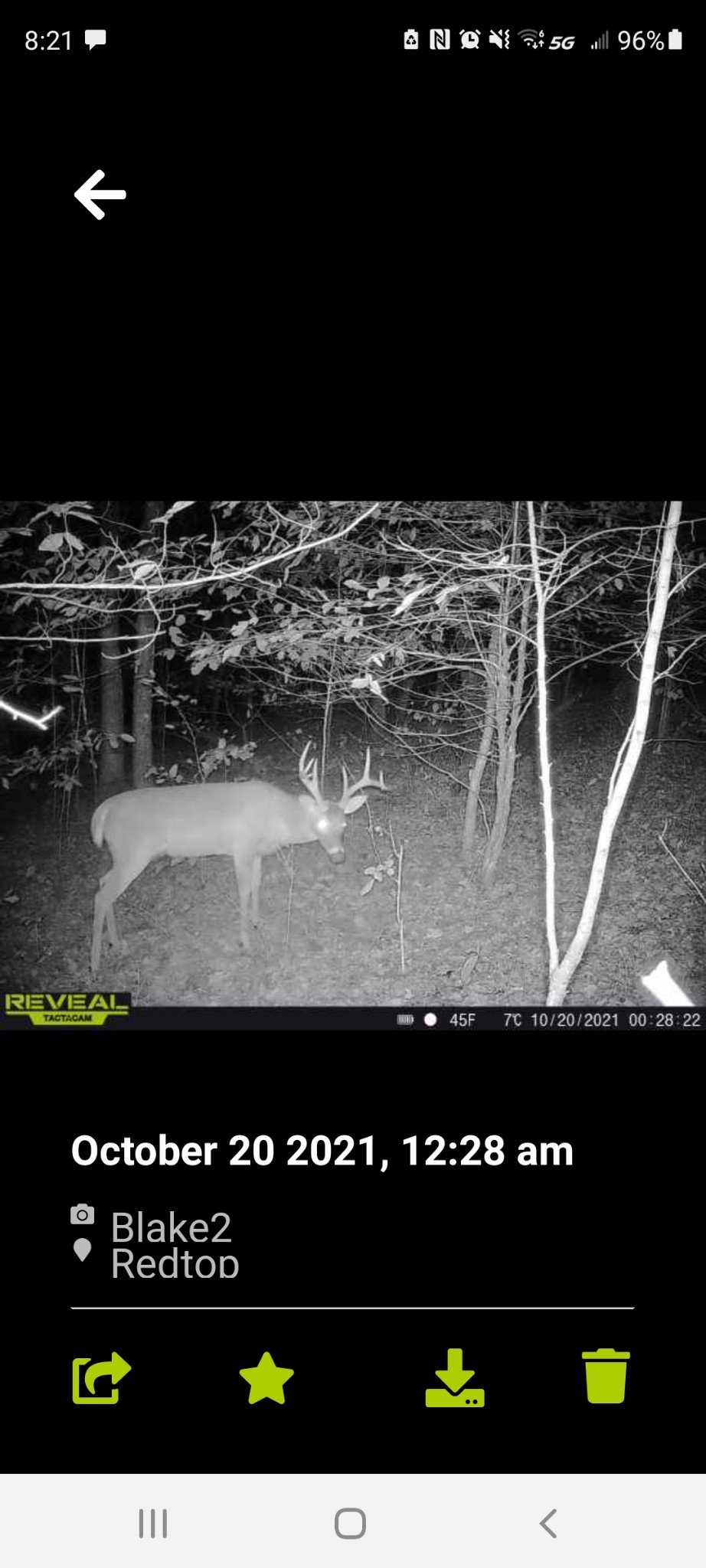 1111 Red Top Road Indian Mound, TN 37079 - Photo 31 of 33 Gallery Image 31