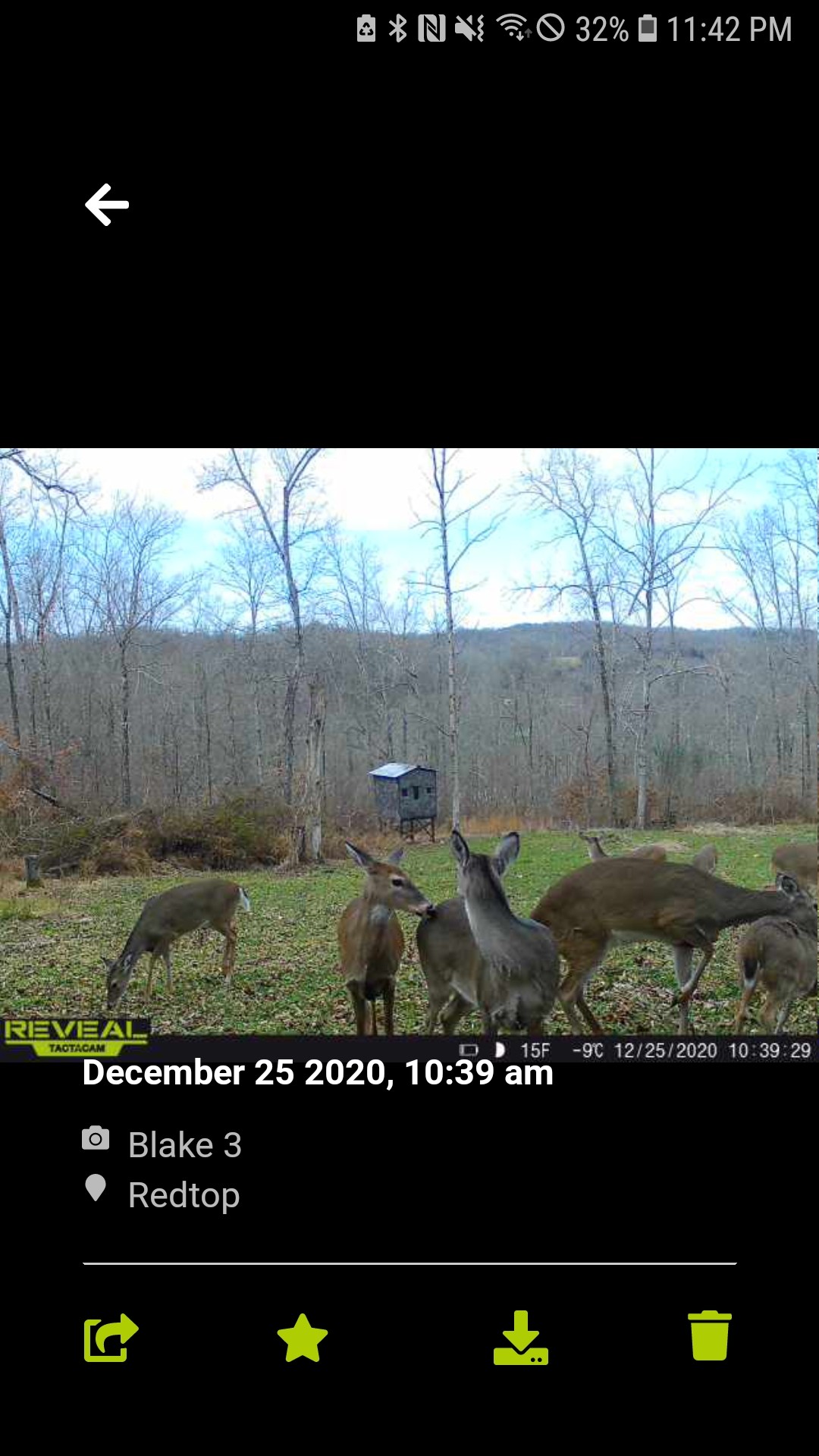 1111 Red Top Road Indian Mound, TN 37079 - Photo 32 of 33 Gallery Image 32