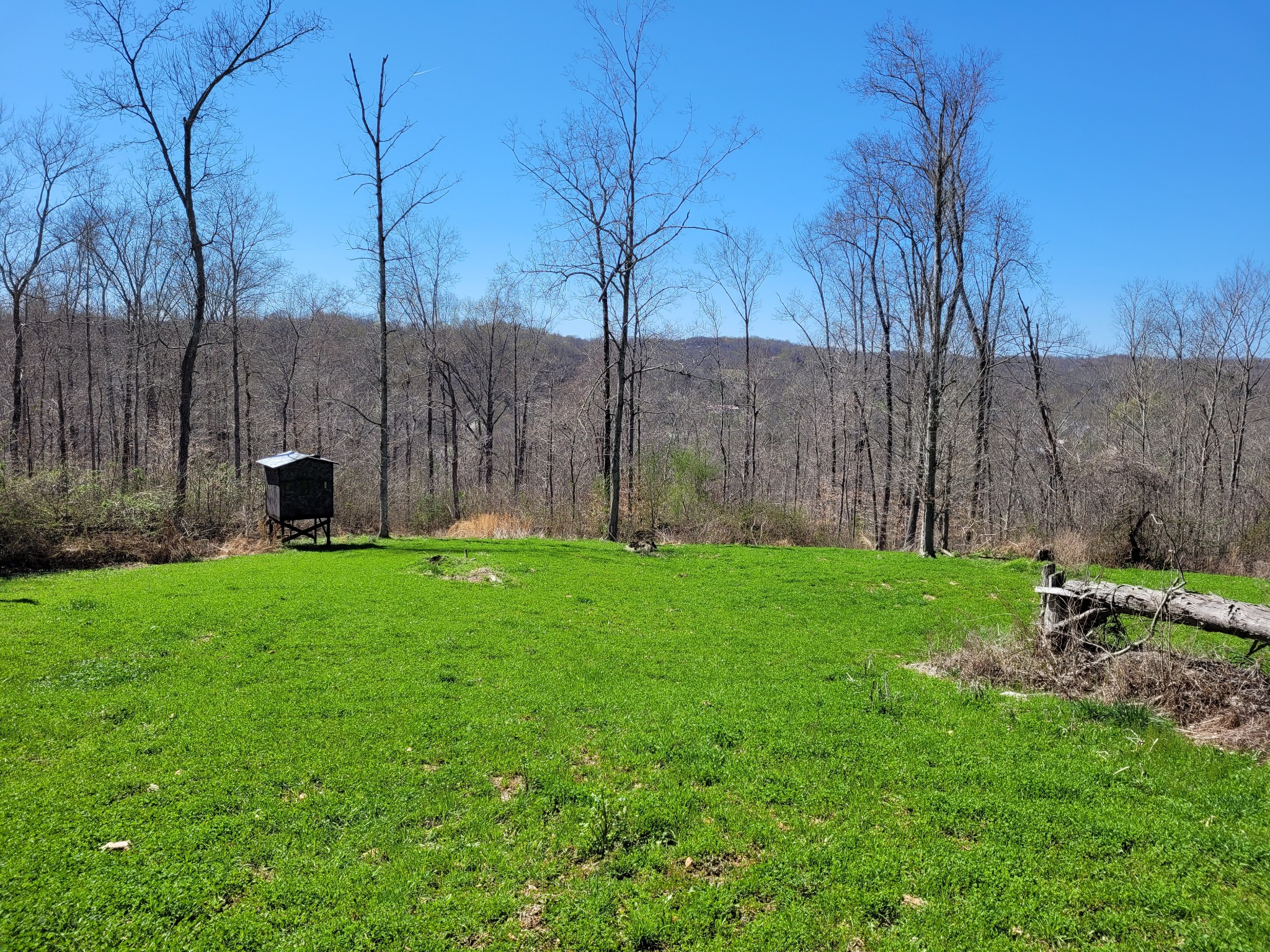 1111 Red Top Road Indian Mound, TN 37079 - Photo 33 of 33 Gallery Image 33