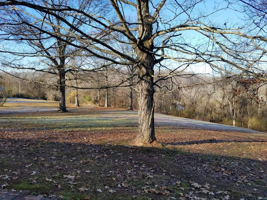 1111 Red Top Road Indian Mound, TN 37079 - Photo 8 of 33 Gallery Image 8