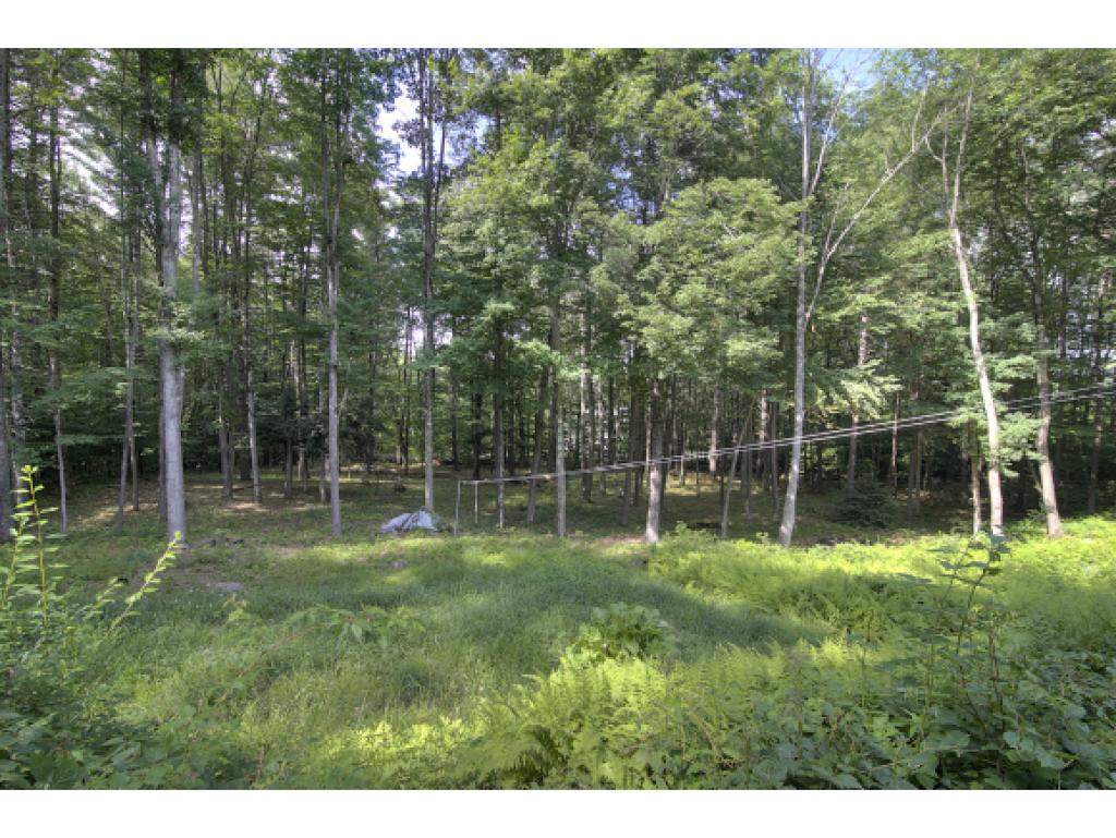 19 Clement Road Bow, NH 03304 - Photo 4 of 22