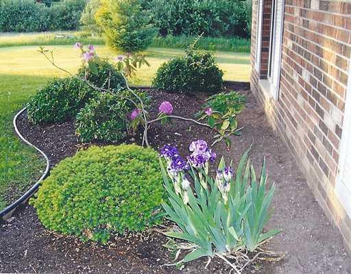 2345 Sylvan Road Chelsea, MI 48118 - Photo 3 of 25 Photo 3