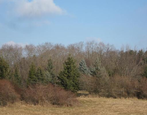 2345 Sylvan Road Chelsea, MI 48118 - Photo 4 of 25 Photo 4