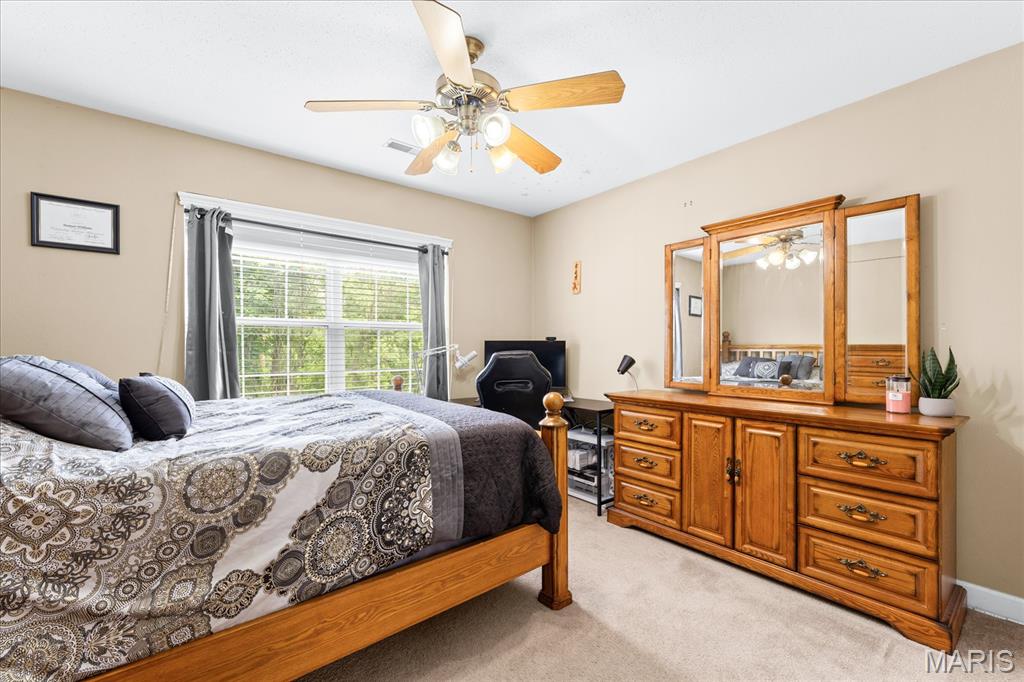 400 Grand Orchid Road O'Fallon, IL 62269 - Photo 30 of 46