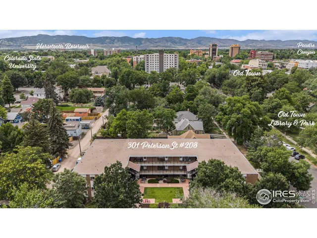 a view of a city with lush green forest